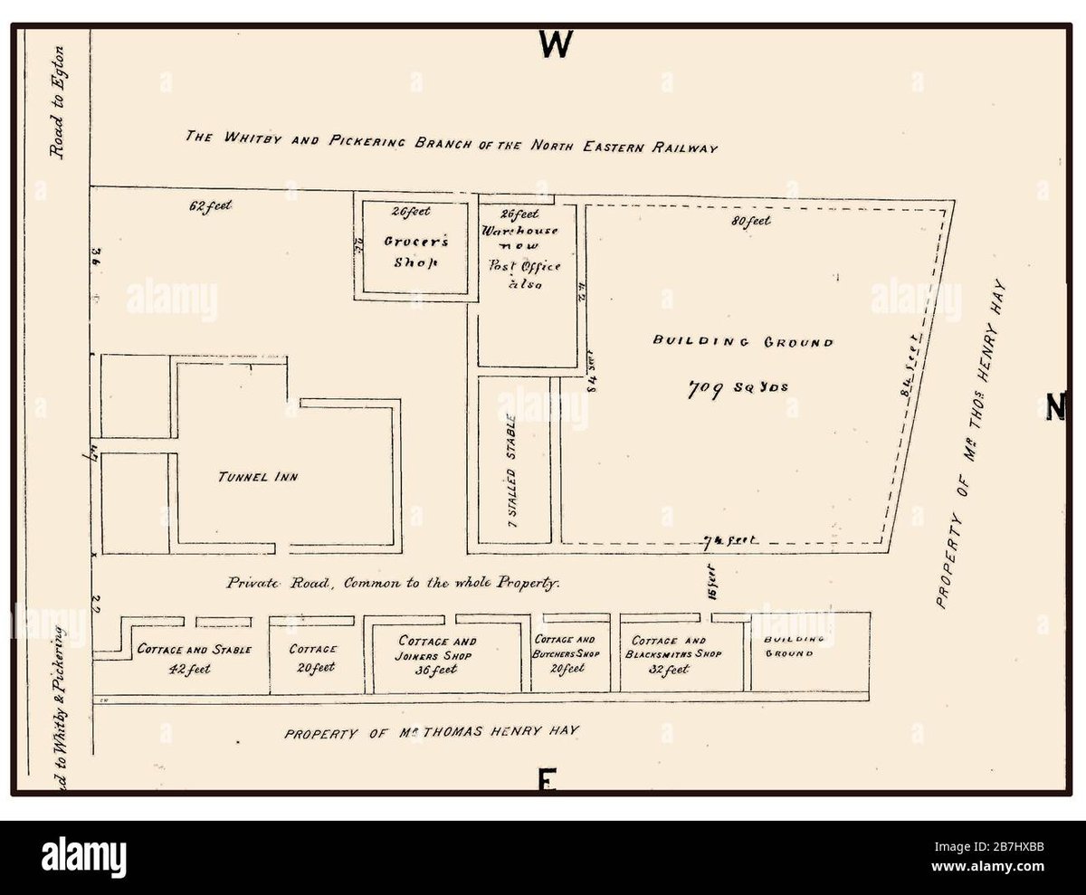 How Old Is Giyu Tomioka in a Silent Voice? Hes Not in